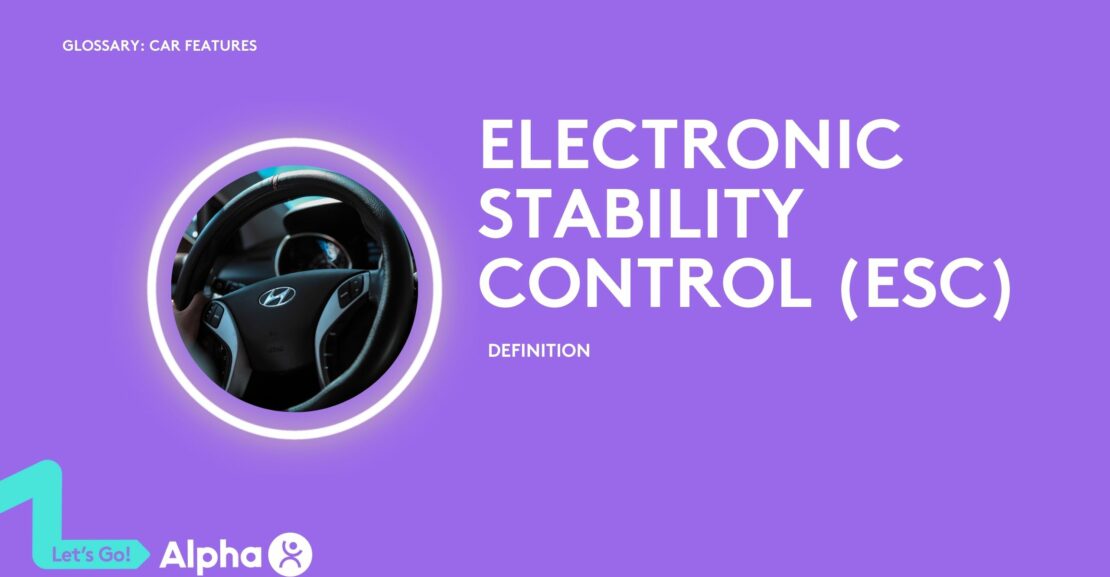 Electronic Stability Control (ESC) - Definition - glossary page - image