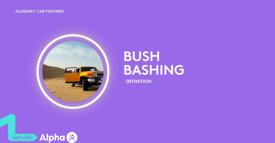 Bush Bashing - glossary page - image