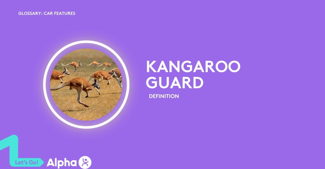 Kangaroo Guard - glossary page - image