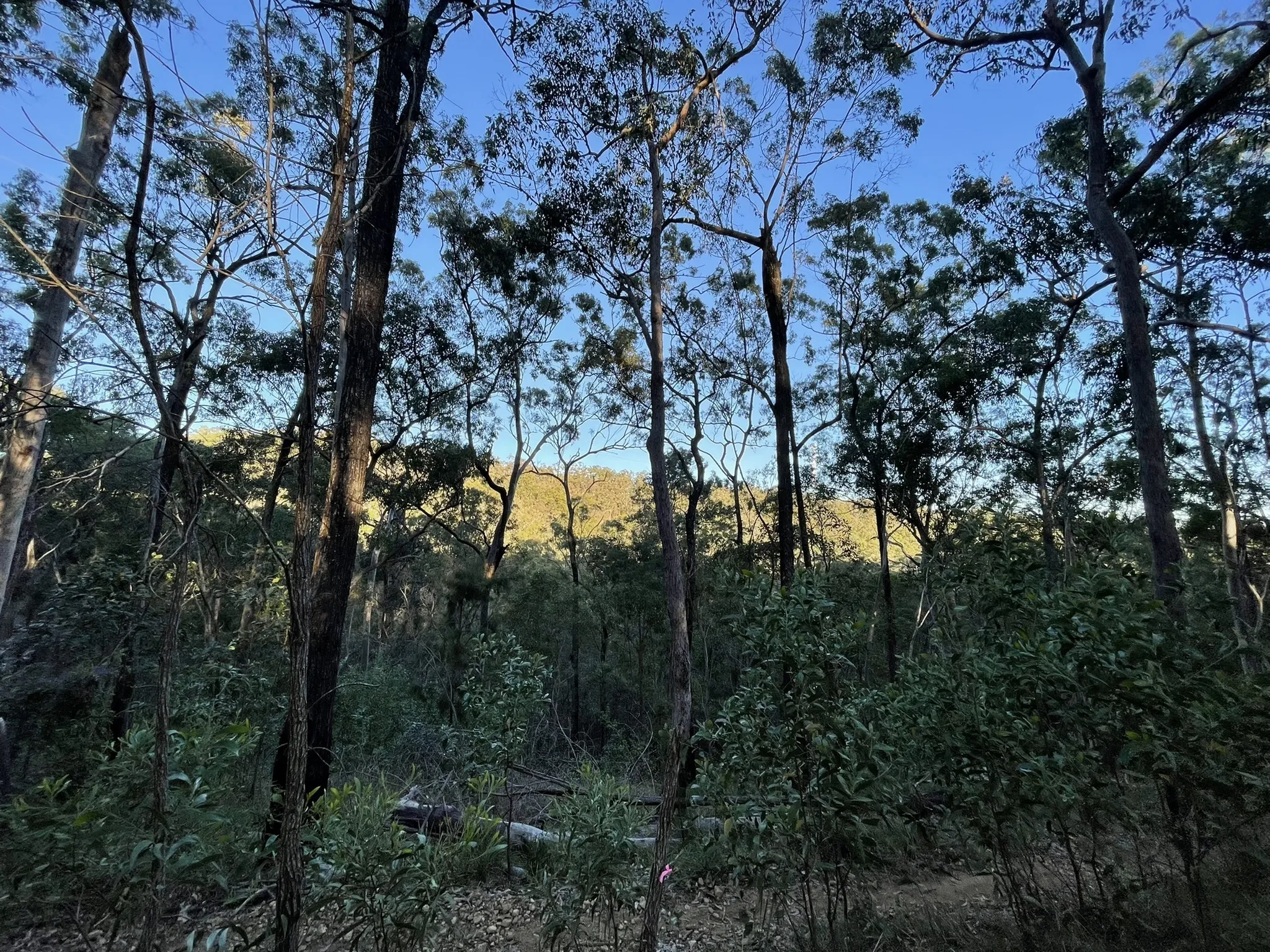 Three Hills, Baileys and Petes Track Loop