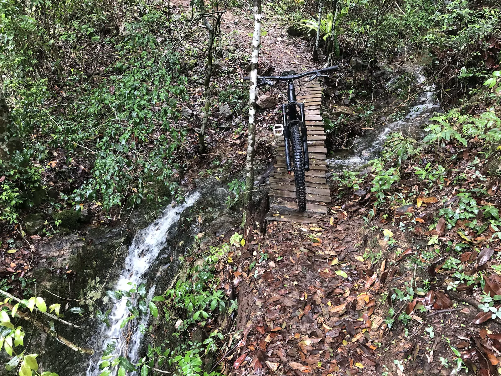 bike-trail-67a2f29d0c671