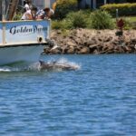 Tweed Eco Cruises Golden Swan