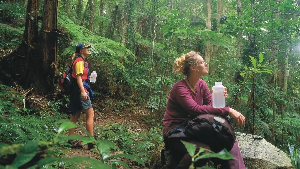 Binna Burra, Lamington National Park Clear Waters