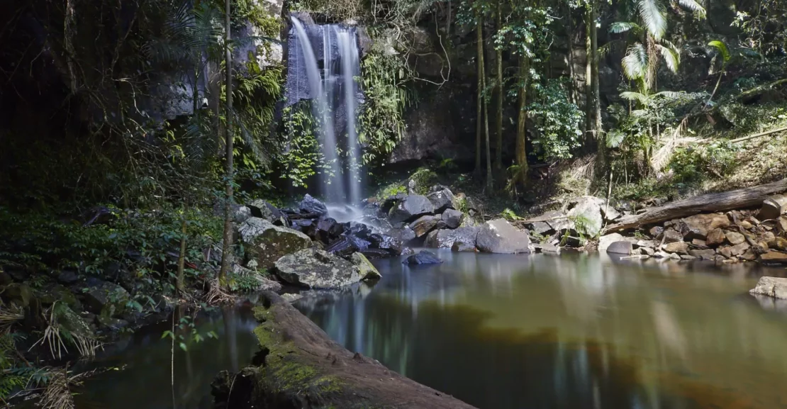 tamborine-national-park